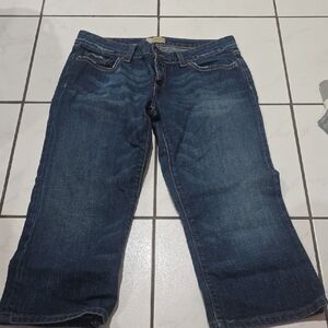 BKE Dark Blue Ankle Jeans